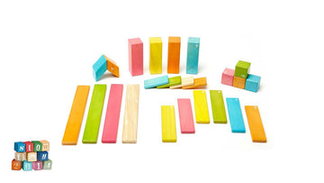 24 Piece Magnetic Wooden Blocks